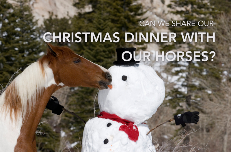 Can we share our Christmas dinner with our horses? | Equine Science Matters™